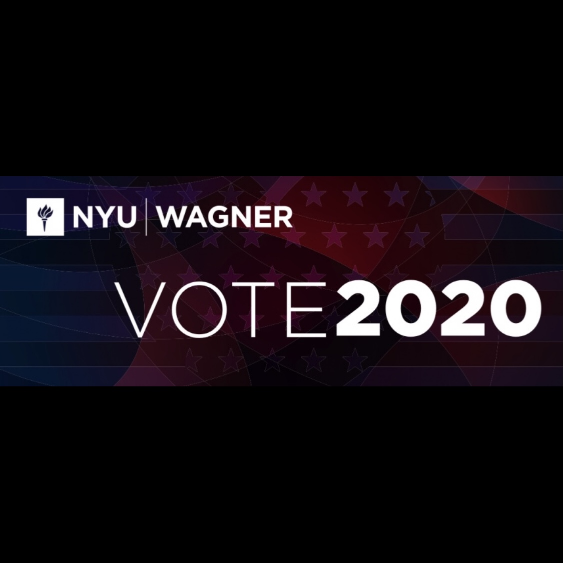 Vote 2020: Getting Involved in the 2020 Election