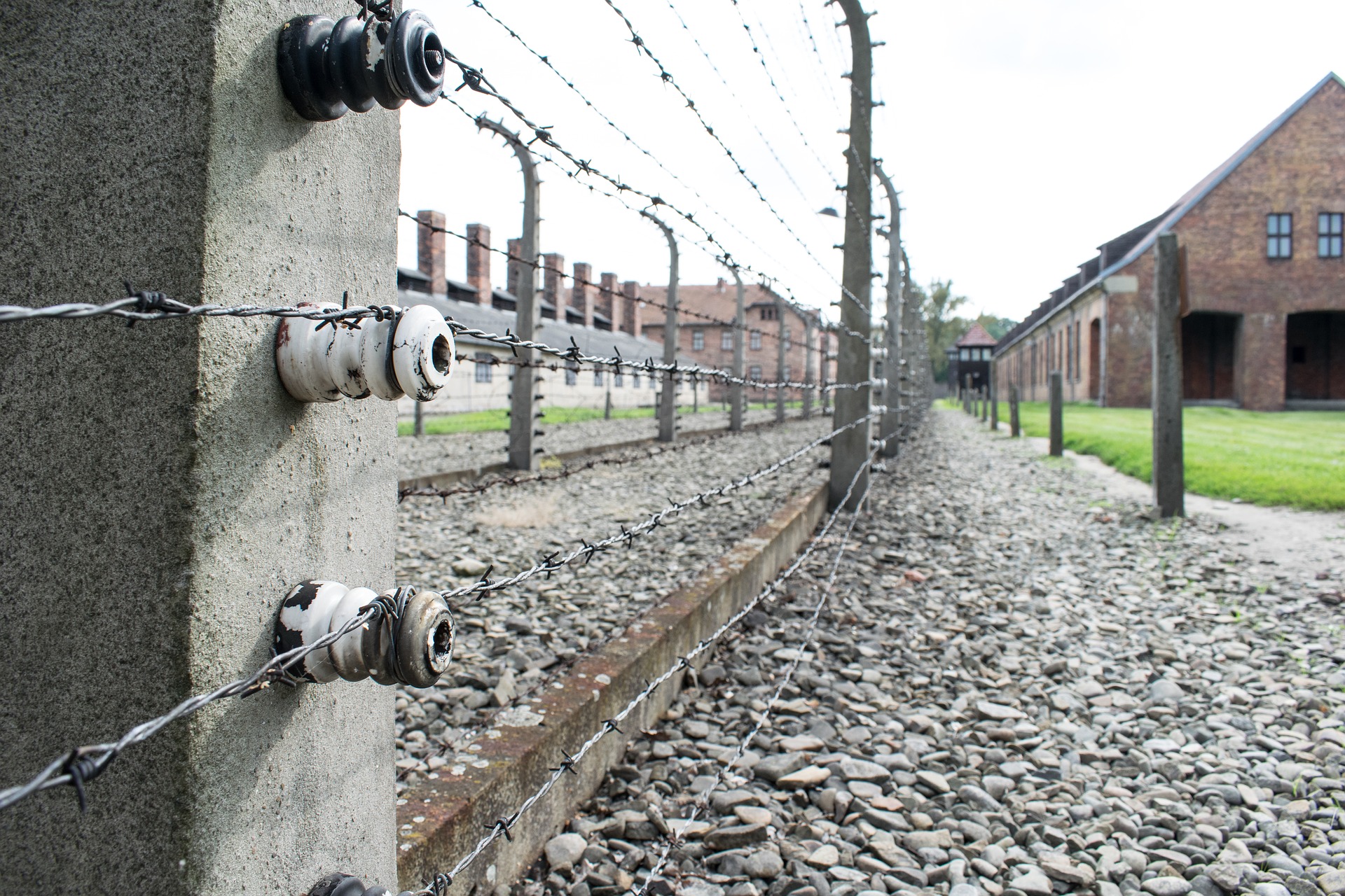 Why Holocaust Education is More Important Than Ever in the Disinformation Age